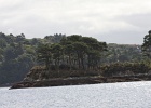 Garnish Island (12)